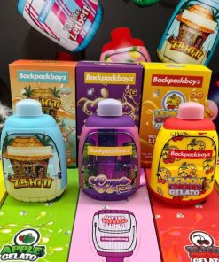 BACKPACK BOYZ 2G DISPOSABLE