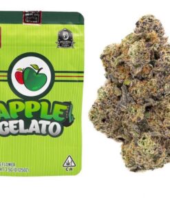APPLE GELATO